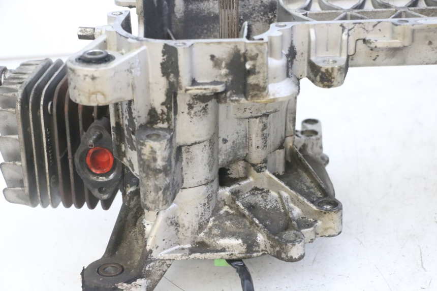 photo de MOTOR PIAGGIO NEW TYPHOON 50 (2018 - 2021)