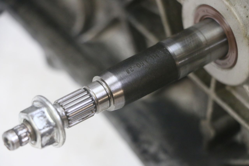 photo de MOTOR PIAGGIO NEW TYPHOON 50 (2018 - 2021)