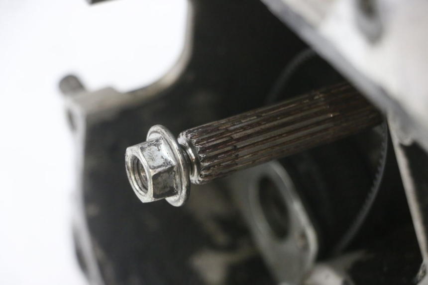 photo de MOTOR PIAGGIO NEW TYPHOON 50 (2018 - 2021)