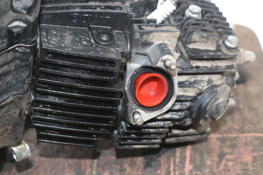 photo de MOTOR NITRO MOTORS STORM DIRTBIKE 110