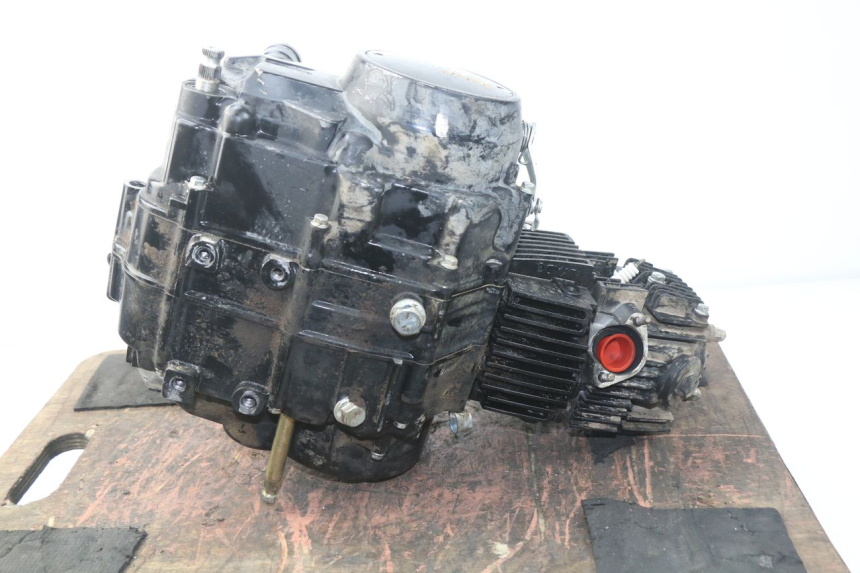photo de MOTOR NITRO MOTORS STORM DIRTBIKE 110