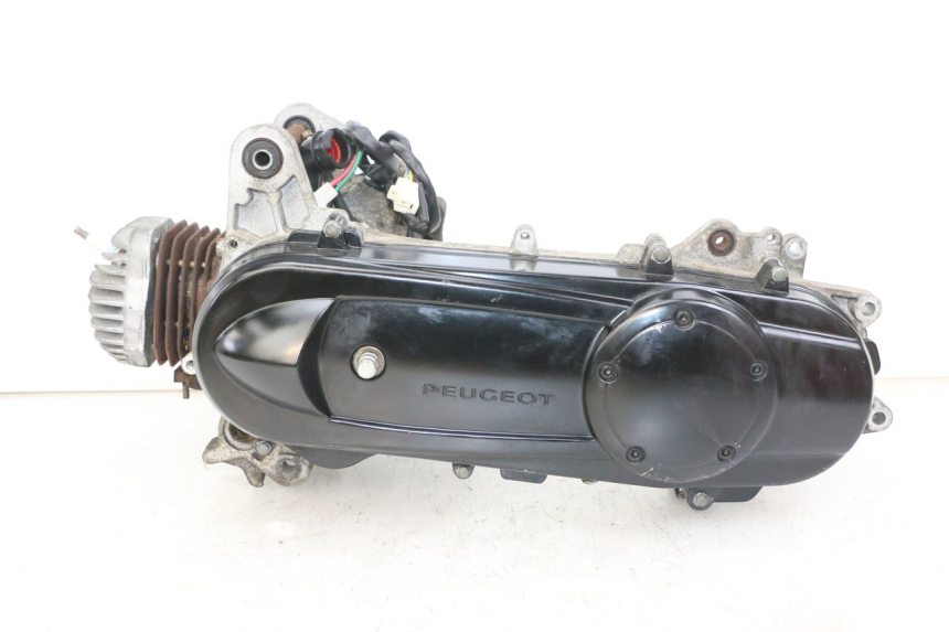 photo de MOTOR PEUGEOT CITYSTAR 2T 50 (2018 - 2021)