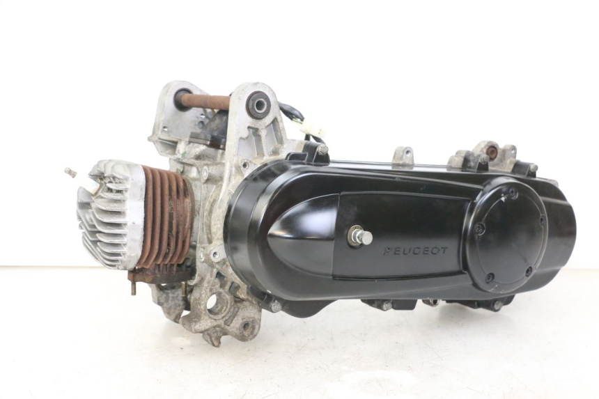 photo de MOTOR PEUGEOT CITYSTAR 2T 50 (2018 - 2021)