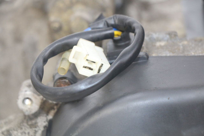 photo de MOTOR PEUGEOT DJANGO 4T 50 (2014 - 2019)