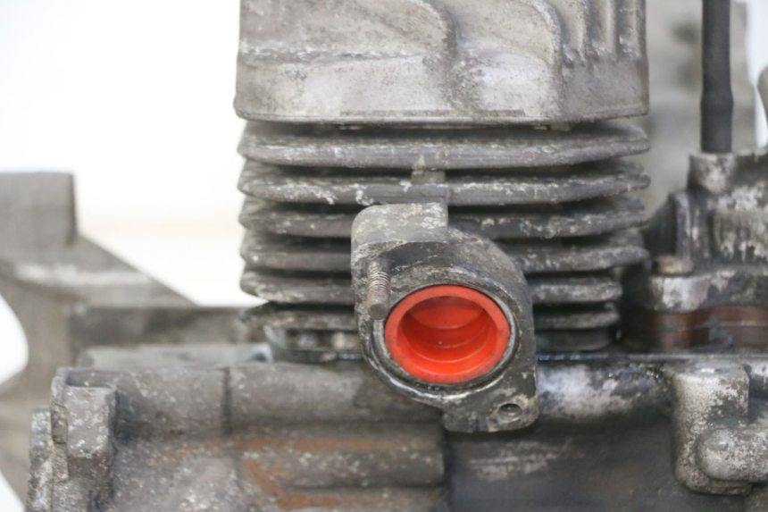 photo de MOTOR PEUGEOT ELYSTAR 50 (2002 - 2014)