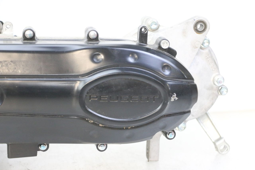 photo de MOTOR PEUGEOT TWEET 4T 50 (2023 - 2025)
