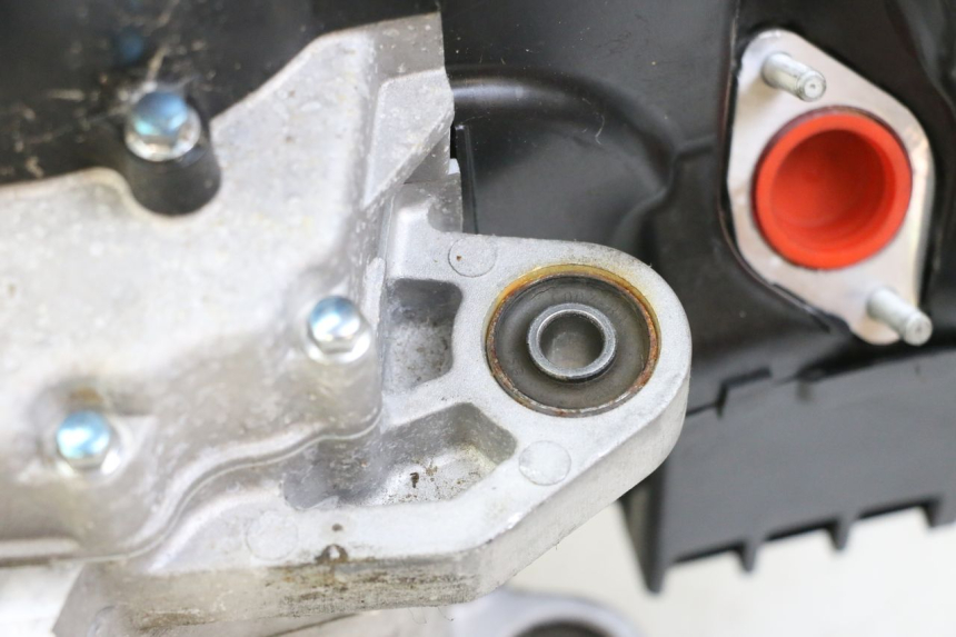 photo de MOTOR PEUGEOT TWEET 4T 50 (2023 - 2025)