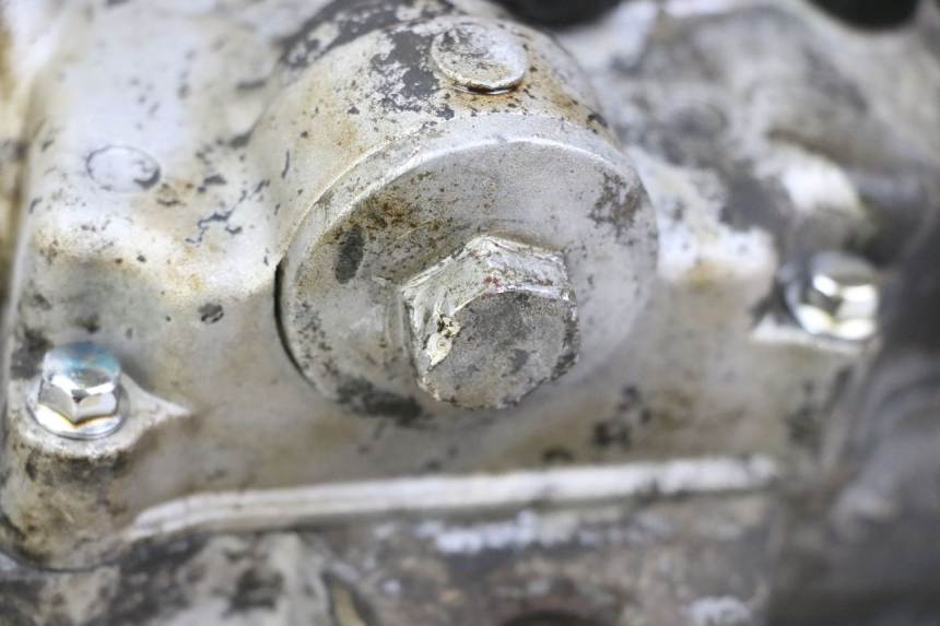 photo de MOTOR PEUGEOT TWEET PRO CARGO 50 (2018 - 2020)