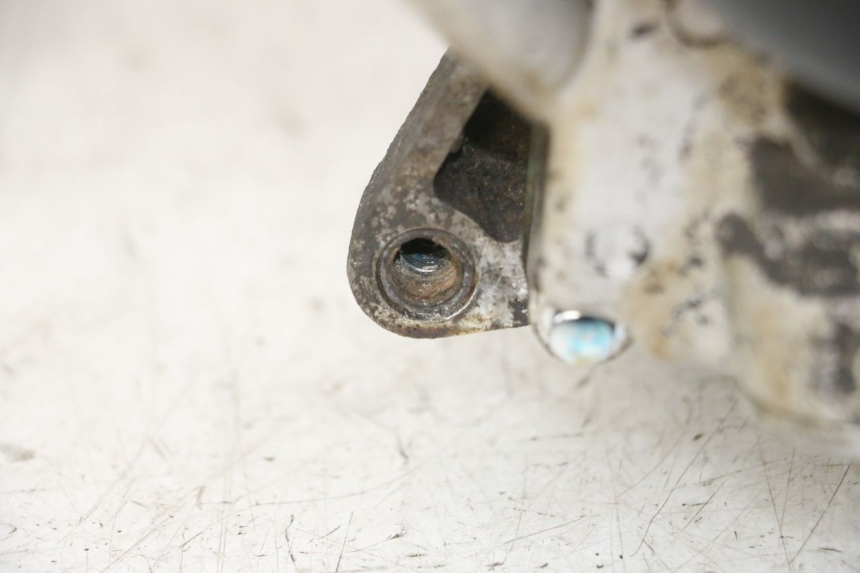photo de MOTOR PEUGEOT TWEET PRO CARGO 50 (2018 - 2020)