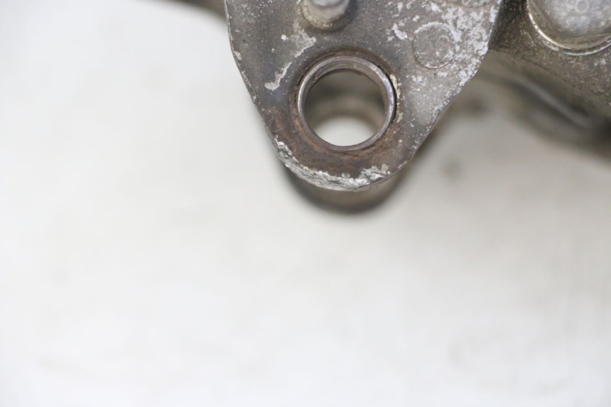 photo de MOTOR PEUGEOT TWEET PRO CARGO 50 (2018 - 2020)