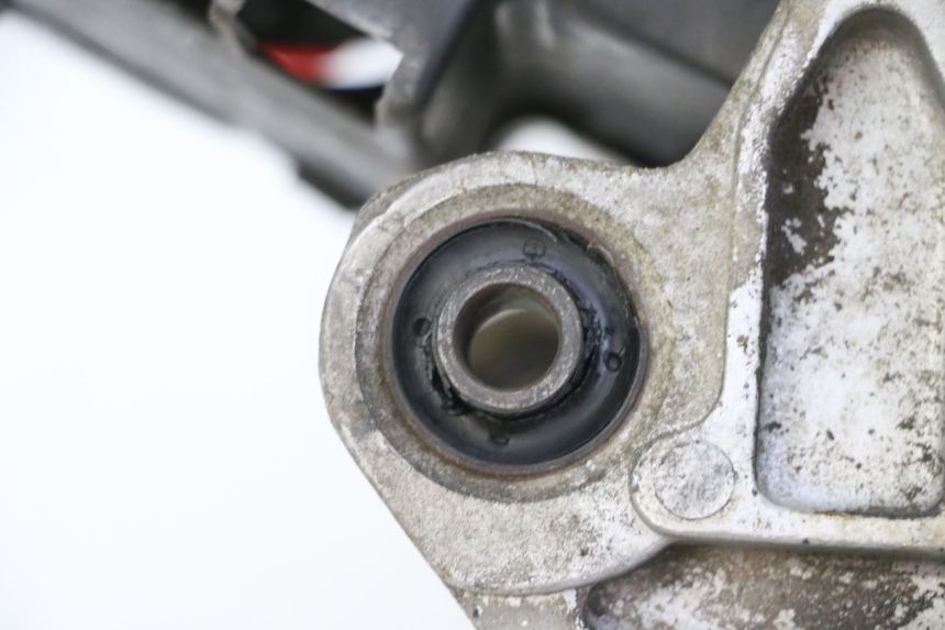 photo de MOTOR PEUGEOT TWEET PRO CARGO 50 (2018 - 2020)