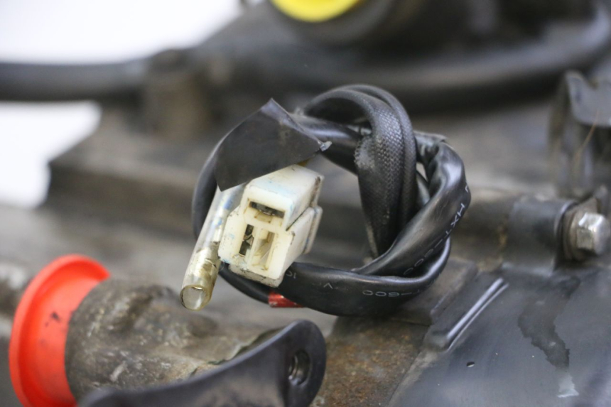 photo de MOTOR PEUGEOT TWEET PRO CARGO 50 (2018 - 2020)