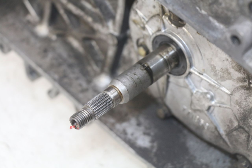 photo de MOTOR PEUGEOT VIVACITY NEW 2T 50 (2008 - 2017)