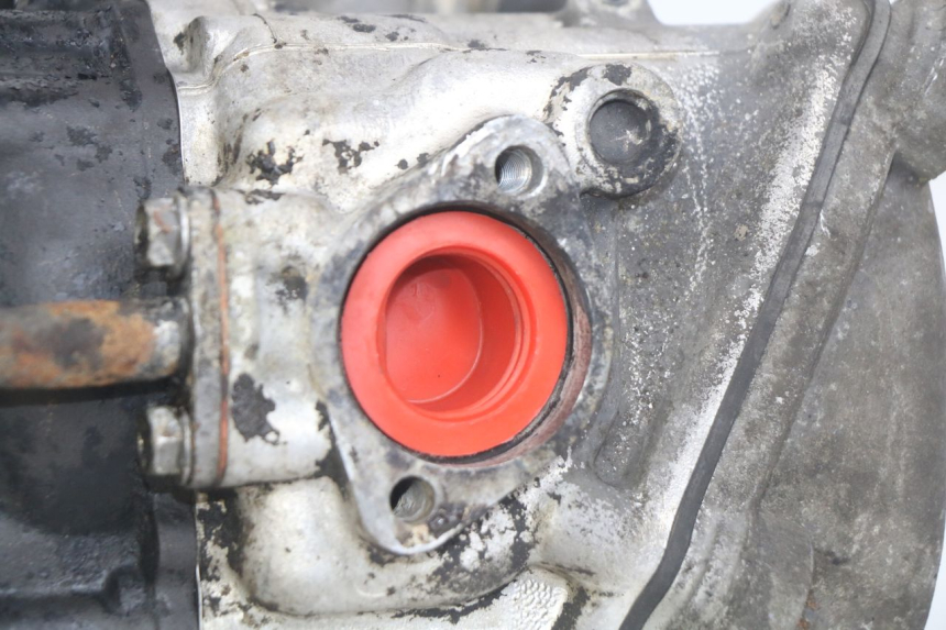 photo de MOTOR PIAGGIO X9 EVOLUTION 250 (2003 - 2007)