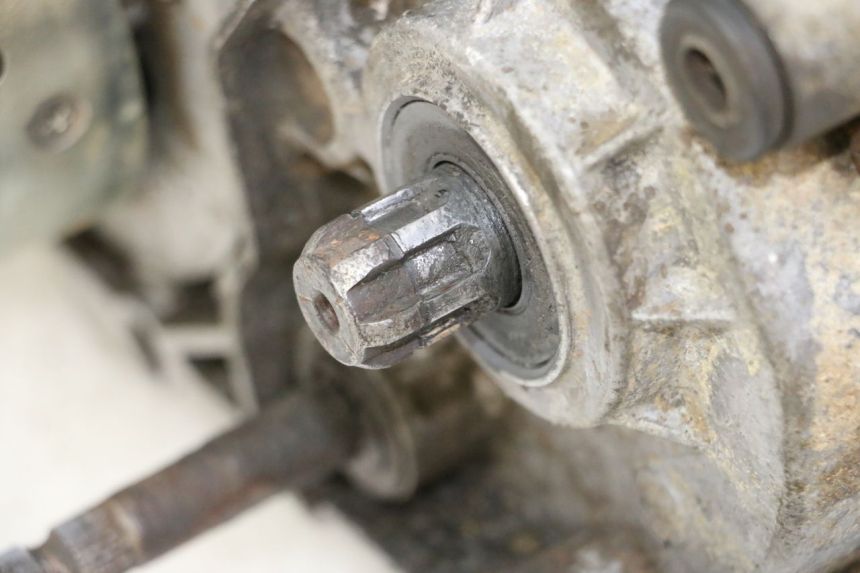 photo de MOTOR YAMAHA PW 80 (1983 - 2014)