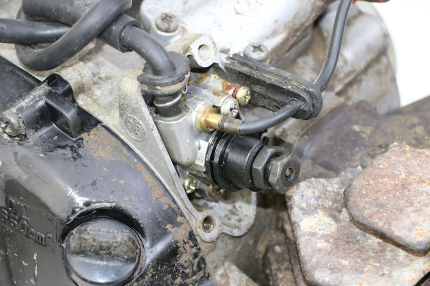 photo de MOTOR YAMAHA PW 80 (1983 - 2014)