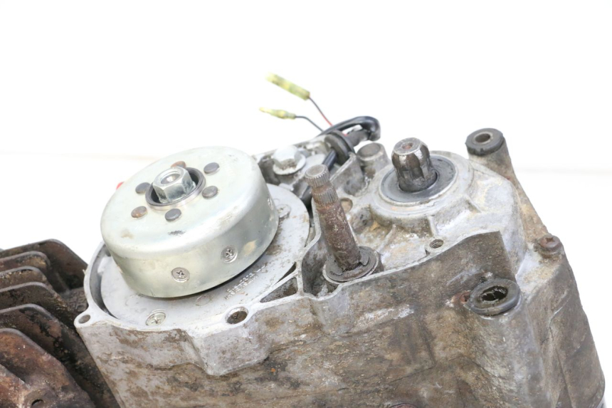 photo de MOTOR YAMAHA PW 80 (1983 - 2014)
