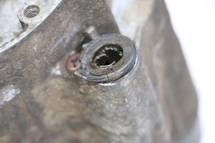photo de MOTOR YAMAHA PW 80 (1983 - 2014)