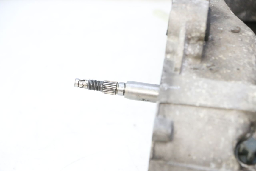 photo de MOTOR GILERA RUNNER SP 50 (2009 - 2017)