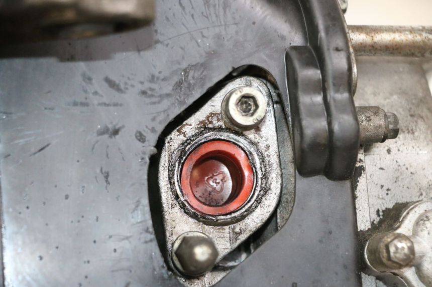 photo de MOTOR JM MOTORS SANTANA 50 (2014 - 2023) - Primer plano técnico