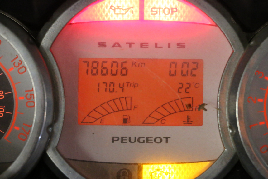 photo de MOTOR PEUGEOT SATELIS 250 (2006 - 2012)