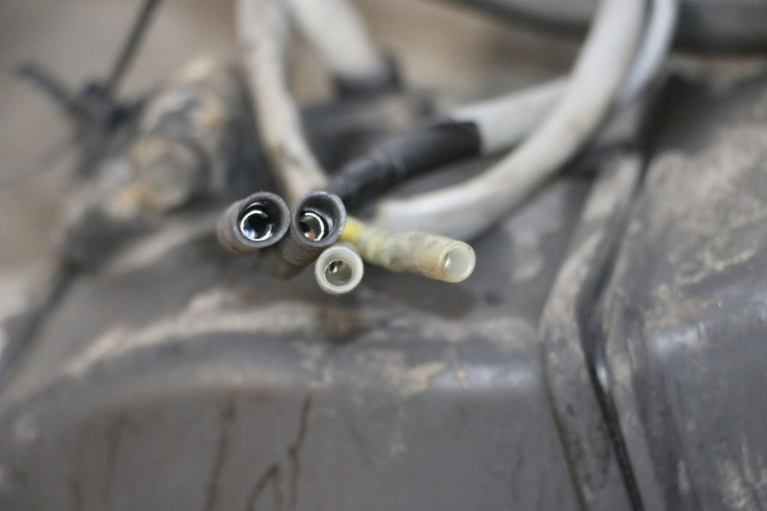 photo de MOTOR HONDA SCV LEAD 100 (2003 - 2007)