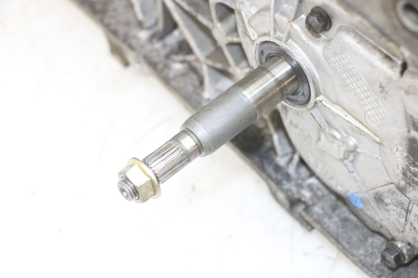 photo de MOTOR PEUGEOT SPEEDFIGHT 2 LC 50 (2000 - 2009)