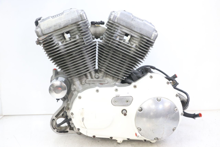 photo de MOTOR HARLEY DAVIDSON SPORTSTER XL CUSTOM 883 (1999 - 2006)