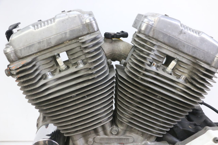 photo de MOTOR HARLEY DAVIDSON SPORTSTER XL CUSTOM 883 (1999 - 2006)