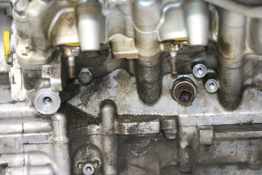 photo de MOTOR HONDA ST PAN EUROPEAN 1300 (2002 - 2013)
