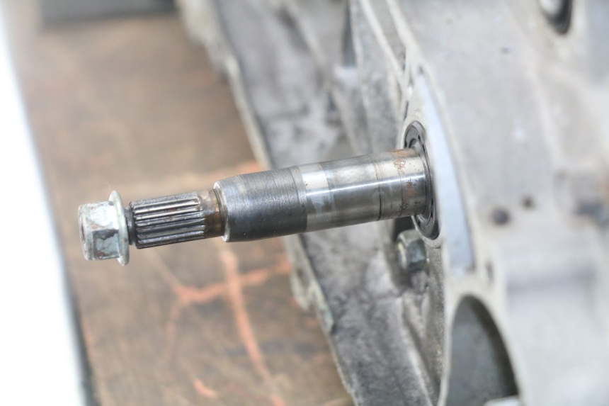 photo de MOTOR JM MOTORS SUNNY 50 (2017 - 2020)