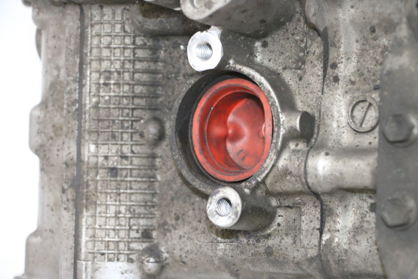 photo de MOTOR SUZUKI SV S 650 (2003 - 2009)