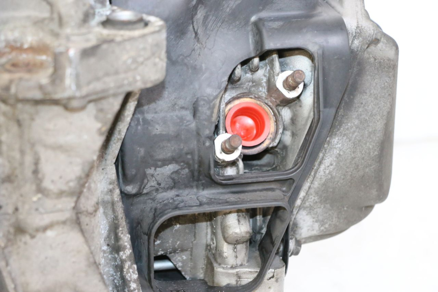 photo de MOTOR APRILIA SXR 50 (2021 - 2023)
