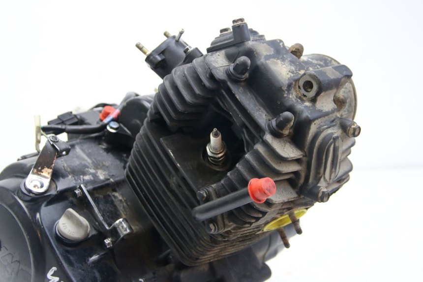 photo de MOTOR SYM WOLF SB 125 (2011 - 2018)