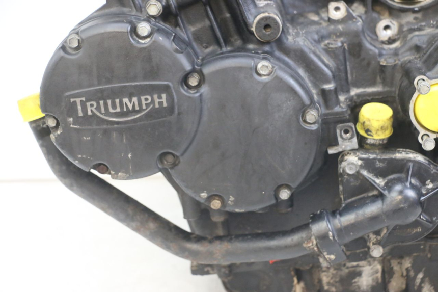 photo de MOTOR TRIUMPH SPEED TRIPLE T301 900 (1994 - 1996)