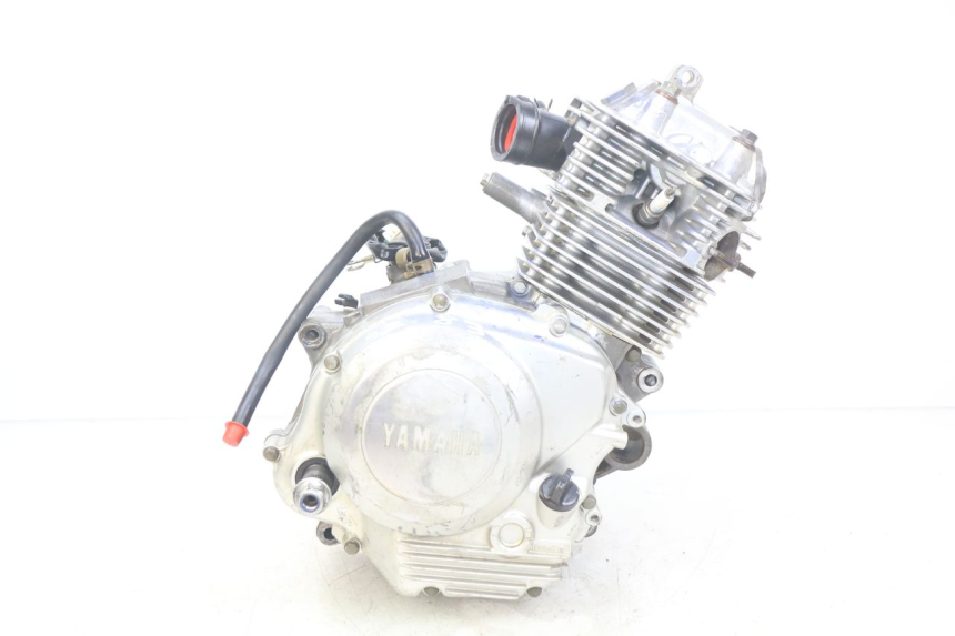 photo de MOTOR YAMAHA TTR 125 (2000 - 2020)
