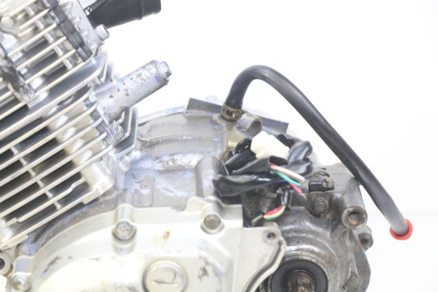 photo de MOTOR YAMAHA TTR 125 (2000 - 2020)