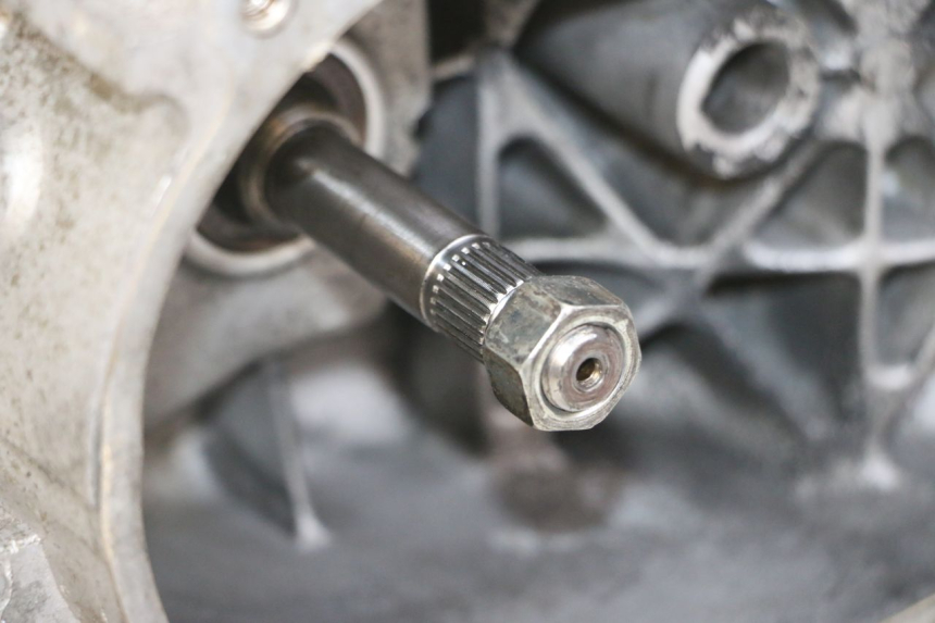 photo de MOTOR PEUGEOT TWEET 4T 50 (2014 - 2019)