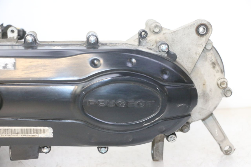 photo de MOTOR PEUGEOT TWEET 4T 50 (2018 - 2020)