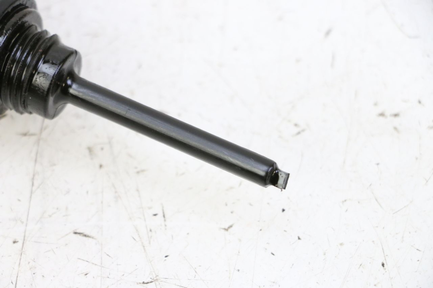 photo de MOTOR PEUGEOT TWEET PRO CARGO 50 (2018 - 2020)