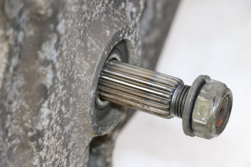 photo de MOTOR PEUGEOT TWEET PRO CARGO 50 (2018 - 2020)