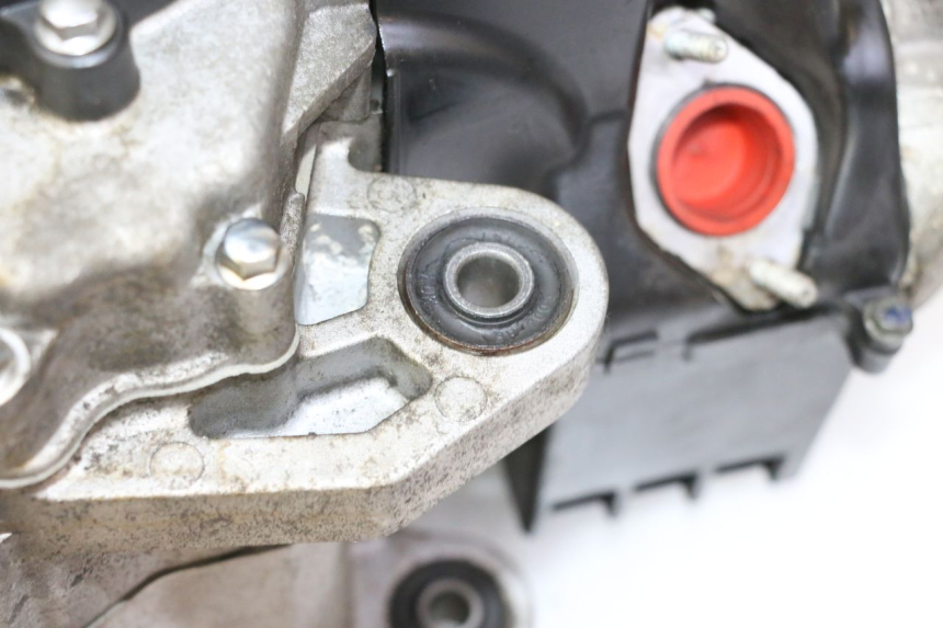 photo de MOTOR PEUGEOT TWEET PRO EFI 4T 50 (2021 - 2022)