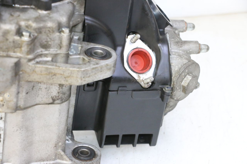 photo de MOTOR PEUGEOT TWEET PRO EFI 4T 50 (2021 - 2022)