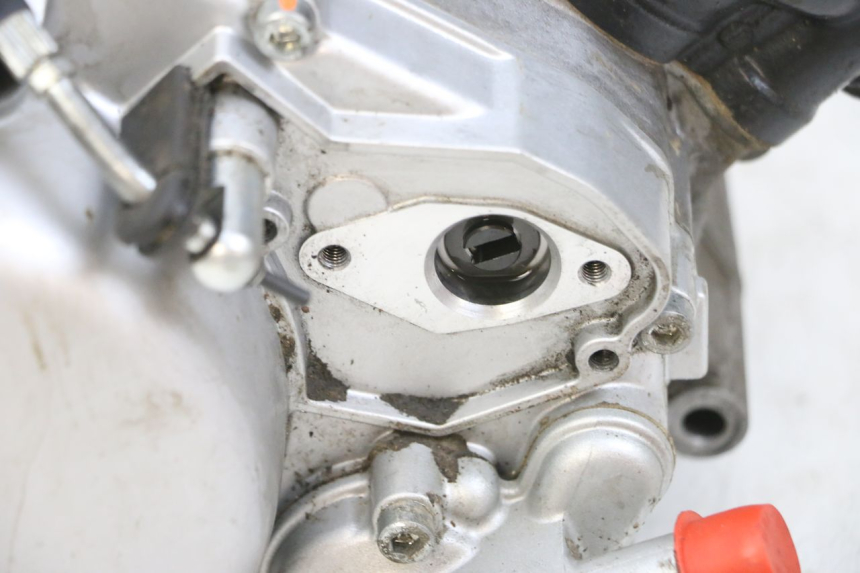 photo de MOTOR YAMAHA TZR 50 (2008 - 2016) - Características distintivas