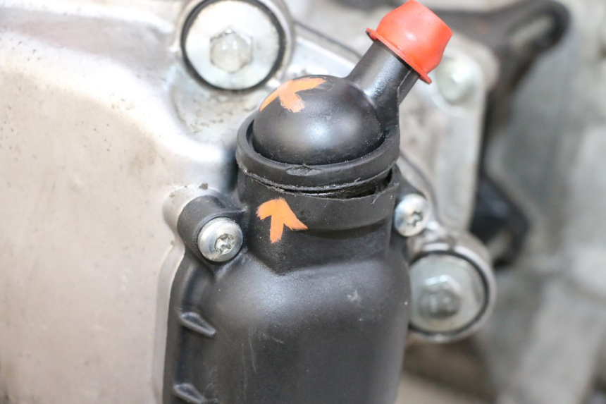 photo de MOTOR PIAGGIO VESPA GTS SUPER IE 125 (2009 - 2016) - Estado de la superficie y material