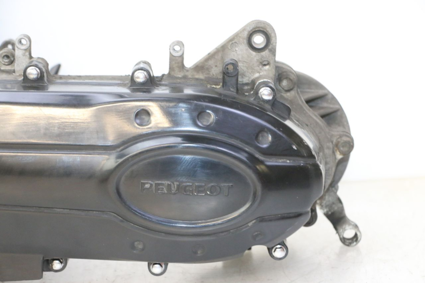 photo de MOTOR PEUGEOT VIVACITY NEW 4T 50 (2008 - 2017)