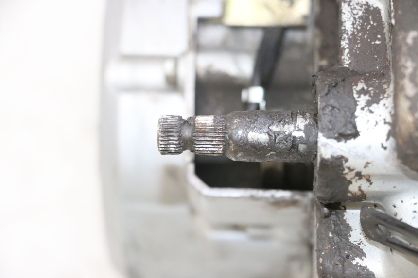 photo de MOTOR DAELIM VJ ROADWIN FI 125 (2008 - 2017) - Inspección visual detallada