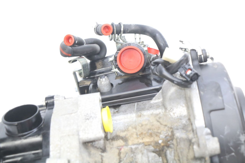 photo de MOTOR YAMAHA D'ELIGHT DELIGHT 115 (2013 - 2017)