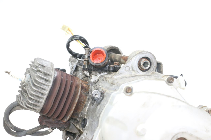 photo de MOTOR YAMAHA NEO'S NEOS 2T EASY 50 (2013 - 2016)