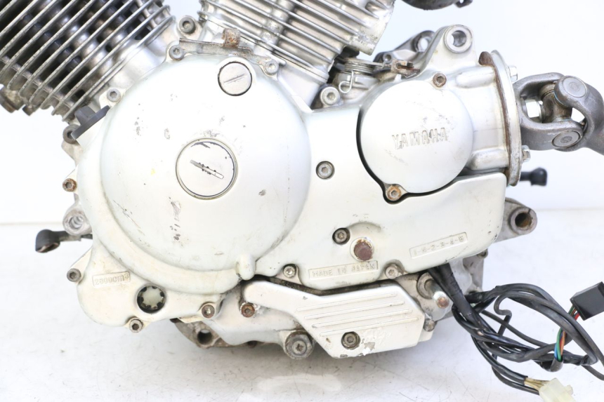 photo de MOTOR YAMAHA XV VIRAGO 535 (1988 - 2004)